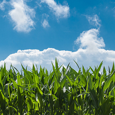 FLEXOPACK - PACKAGING SOLUTIONS